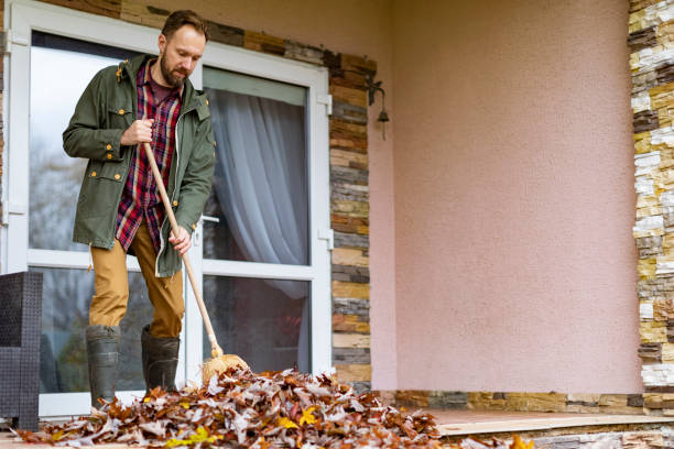 Best Electronics Removal Services  in Grand Meadow, MN